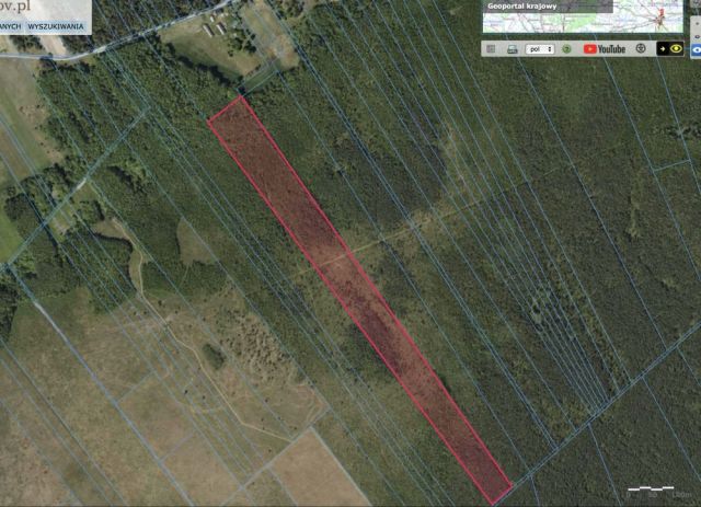 Działka leśna Lipsk. Zdjęcie 1