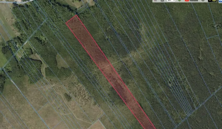 Działka leśna Lipsk