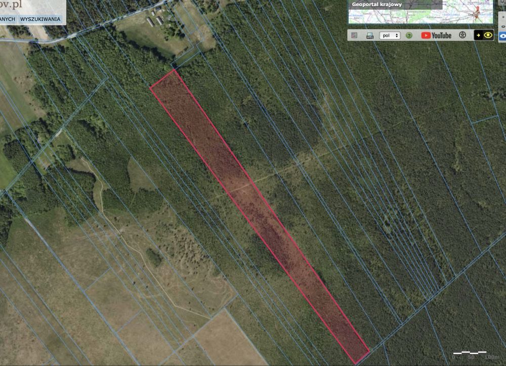 Działka leśna Lipsk. Zdjęcie 1