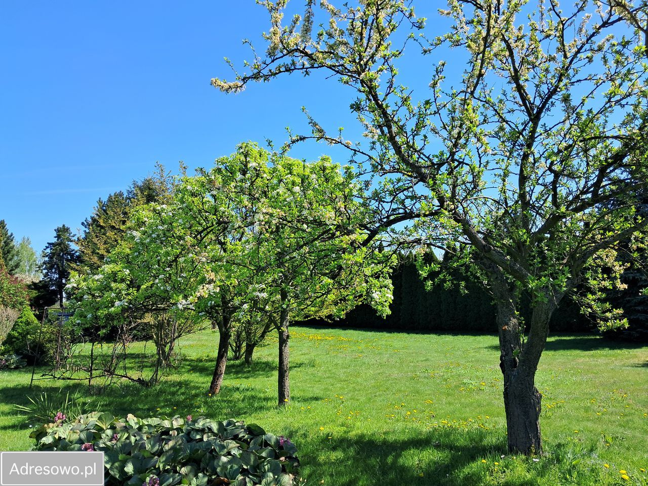 Działka budowlana Bogucin. Zdjęcie 20