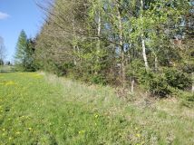 Działka budowlana Księżno. Zdjęcie 1