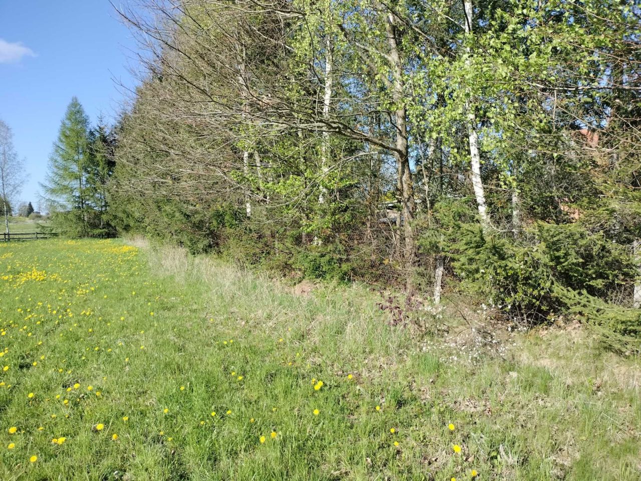 Działka budowlana Księżno. Zdjęcie 2