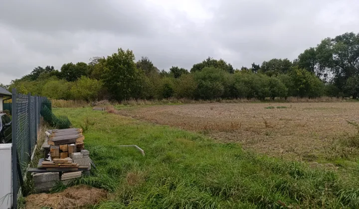 Działka budowlana Bierzyce, ul. Kasztanowa