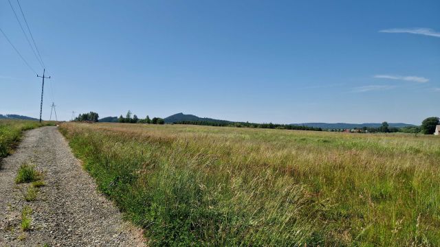 Działka budowlana Olszyny. Zdjęcie 1