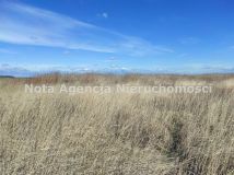 Działka inwestycyjna Świebodzice Ciernie, ul. Przemysłowa. Zdjęcie 4