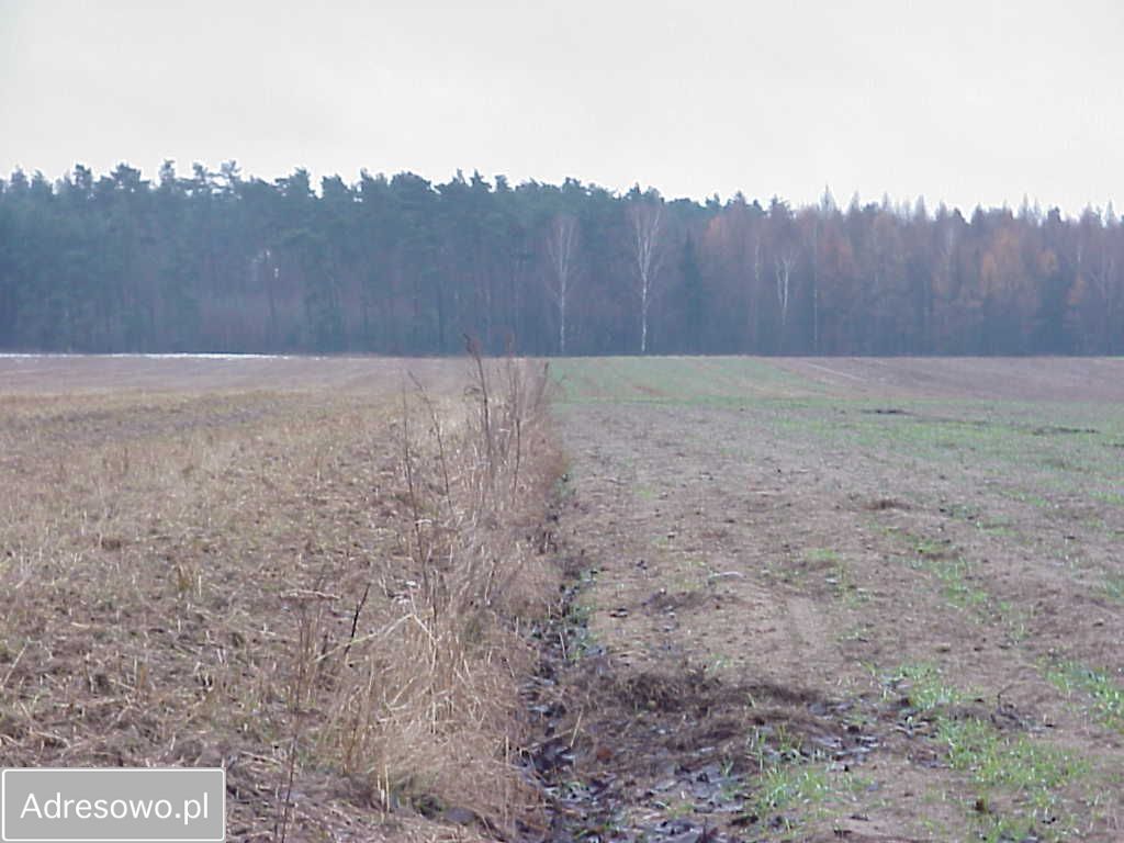 Działka rolna Bielawa. Zdjęcie 6