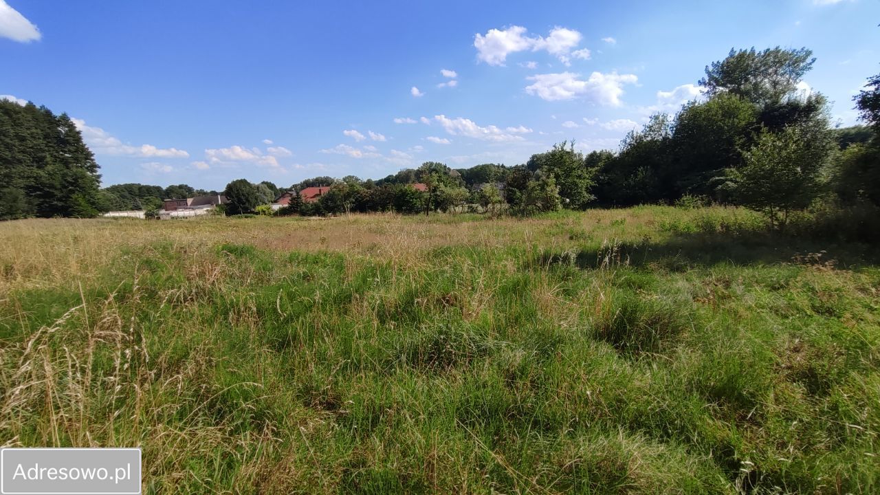 Działka rolna Zielona Góra Nowy Kisielin, ul. Nowy Kisielin-Dolna. Zdjęcie 6