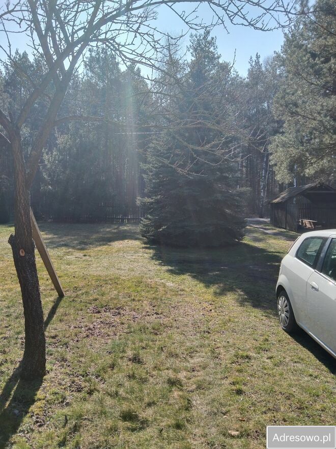 Działka rekreacyjna Krzyżówka. Zdjęcie 7