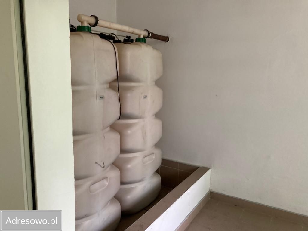 Lokal Urle. Zdjęcie 17