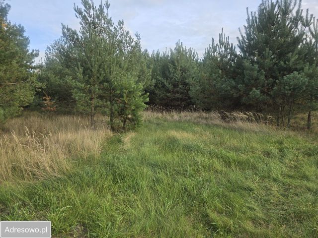 Działka budowlana Gronów. Zdjęcie 1