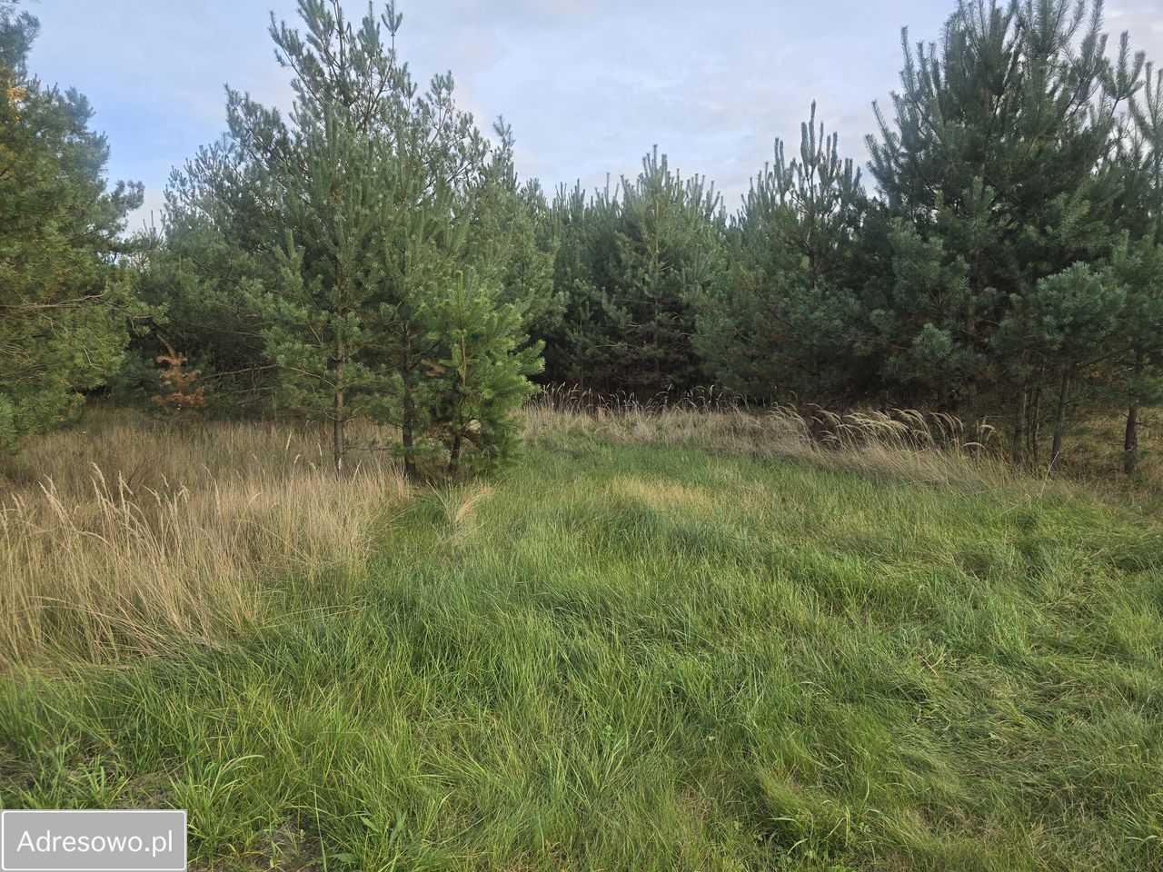 Działka budowlana Gronów