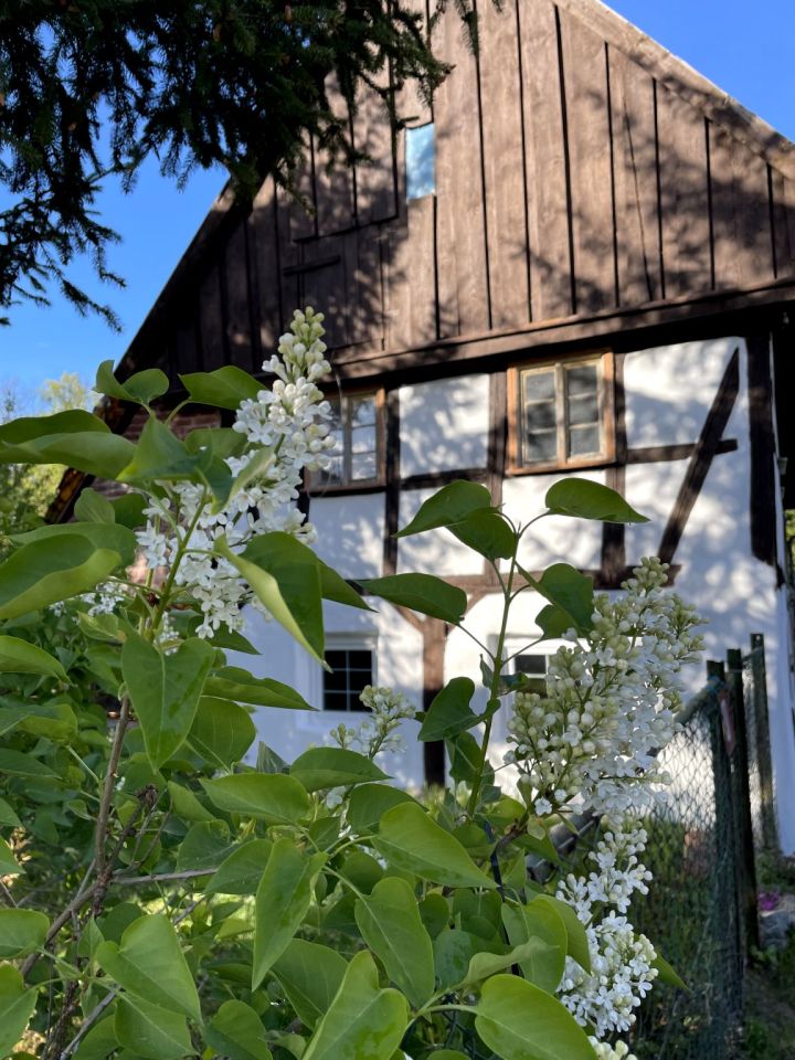 dom wolnostojący, 4 pokoje Jelenia Góra. Zdjęcie 4