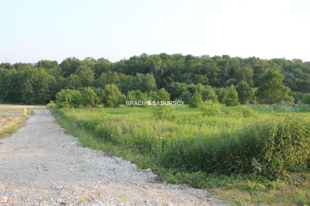 Działka budowlana Libertów, ul. Południowa. Zdjęcie 3