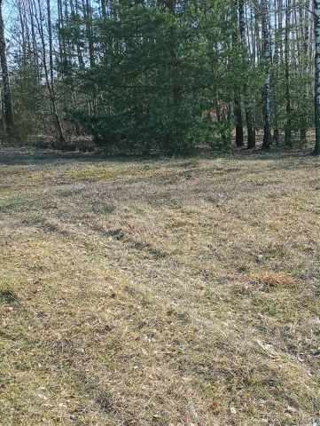 Działka rolno-budowlana Święte Nowaki. Zdjęcie 1