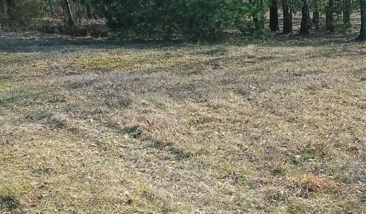 Działka rolno-budowlana Święte Nowaki