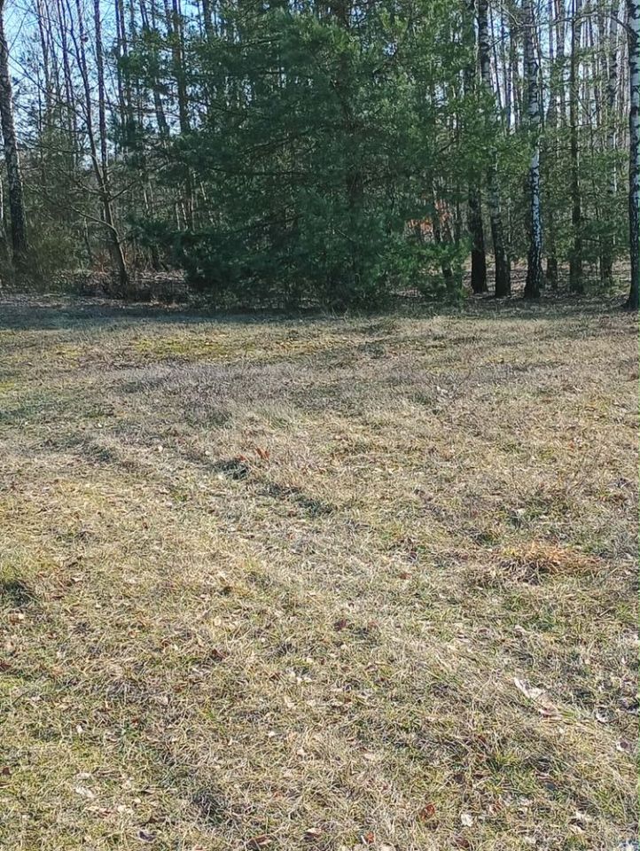 Działka rolno-budowlana Święte Nowaki. Zdjęcie 1