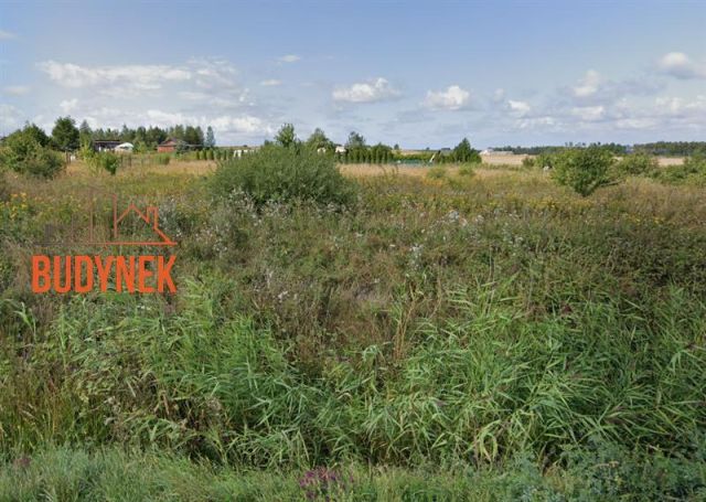 Działka budowlana Cisowo. Zdjęcie 13
