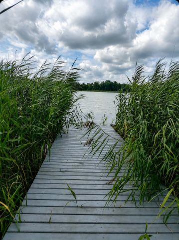 dom wolnostojący, 4 pokoje Narost. Zdjęcie 13