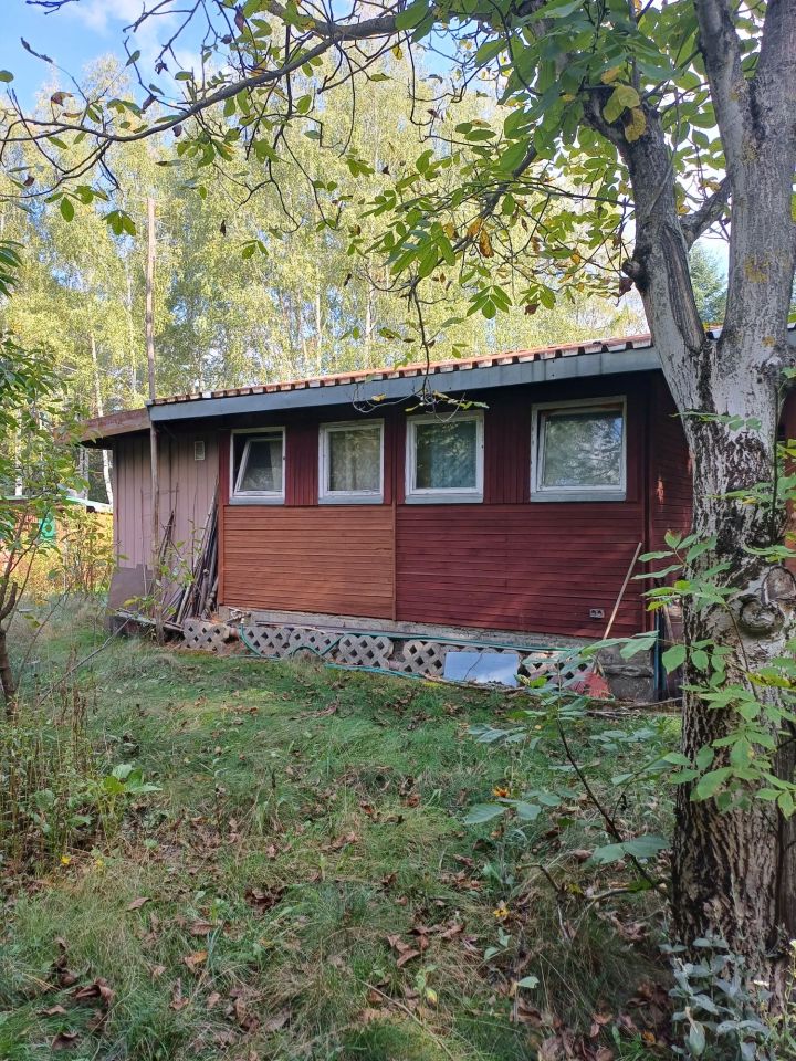 Działka rod Międzyborów. Zdjęcie 8