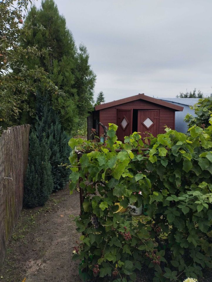 Działka rod Września. Zdjęcie 4