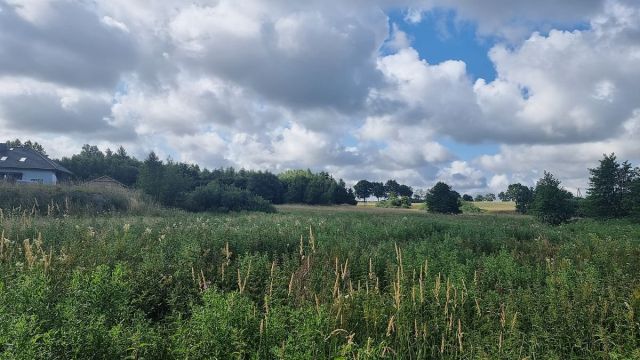 Działka rolna Sianożęty. Zdjęcie 6