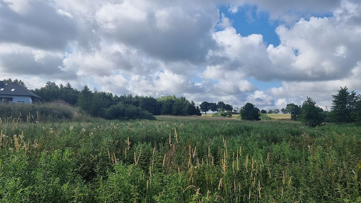 Działka rolna Sianożęty. Zdjęcie 6