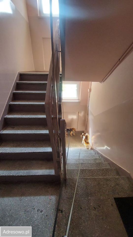 Mieszkanie 2-pokojowe Gliwice, ul. Obrońców Pokoju. Zdjęcie 10