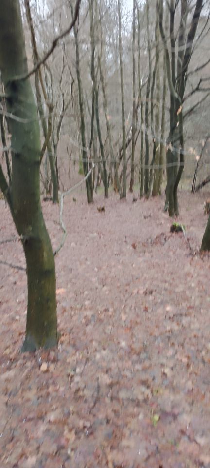 Działka leśna Osobnica Wysłanka, Osobnica. Zdjęcie 4