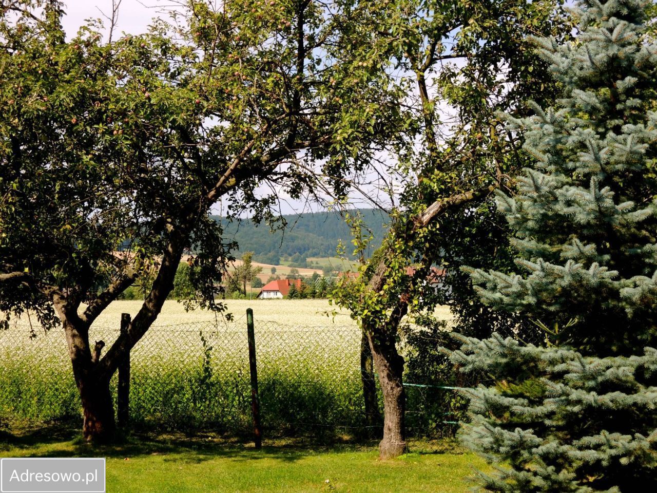 dom wolnostojący, 3 pokoje Idzików. Zdjęcie 7
