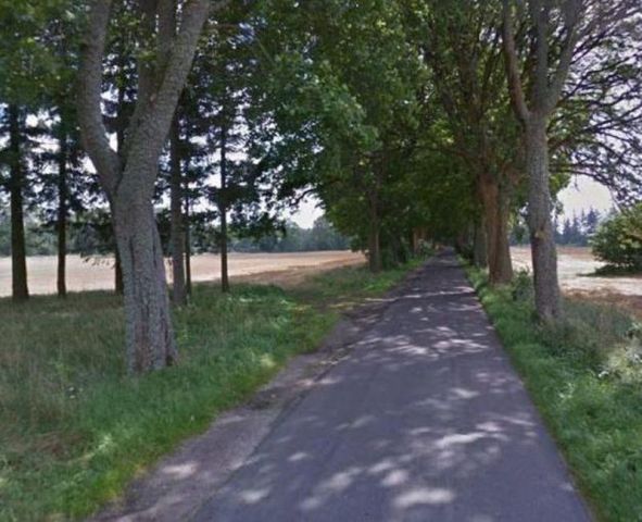 Działka rolna Malechowo, Święcianowo. Zdjęcie 2