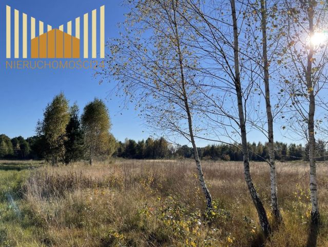 Działka inwestycyjna Anielew. Zdjęcie 2