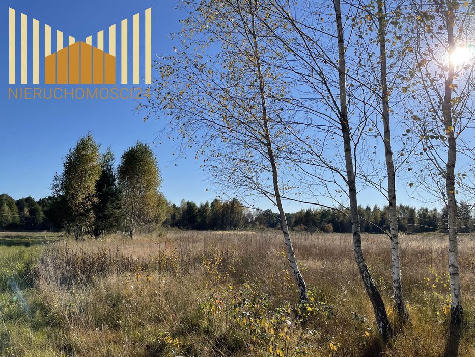 Działka inwestycyjna Anielew. Zdjęcie 2
