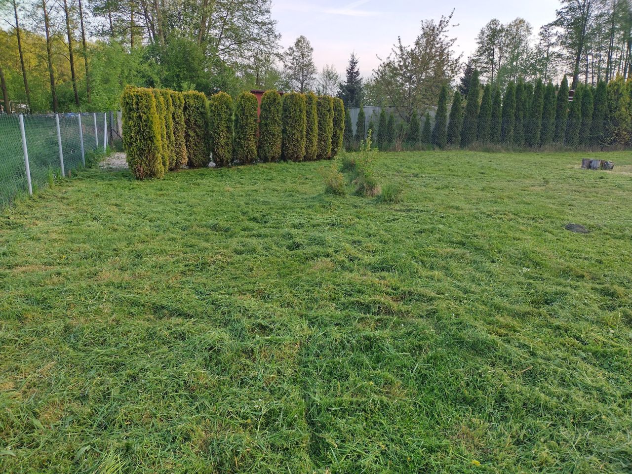 Działka rolna Drwalew. Zdjęcie 7