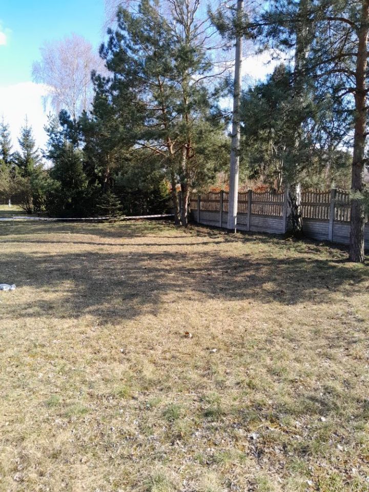 Działka budowlana Maksymilianowo. Zdjęcie 7