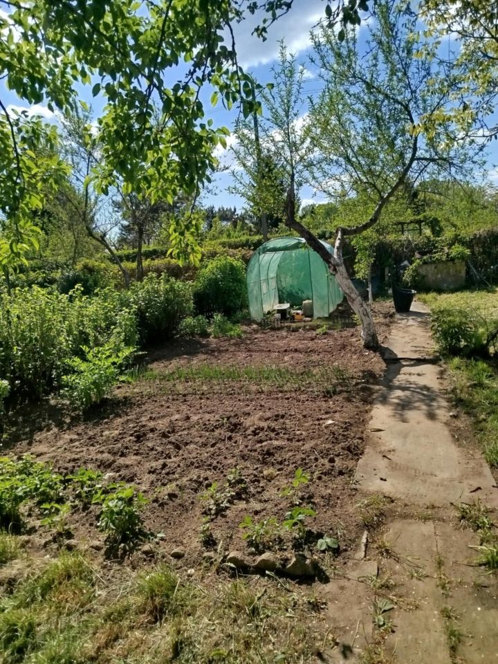 Działka rod Nowa Sól, Hutnicza. Zdjęcie 3