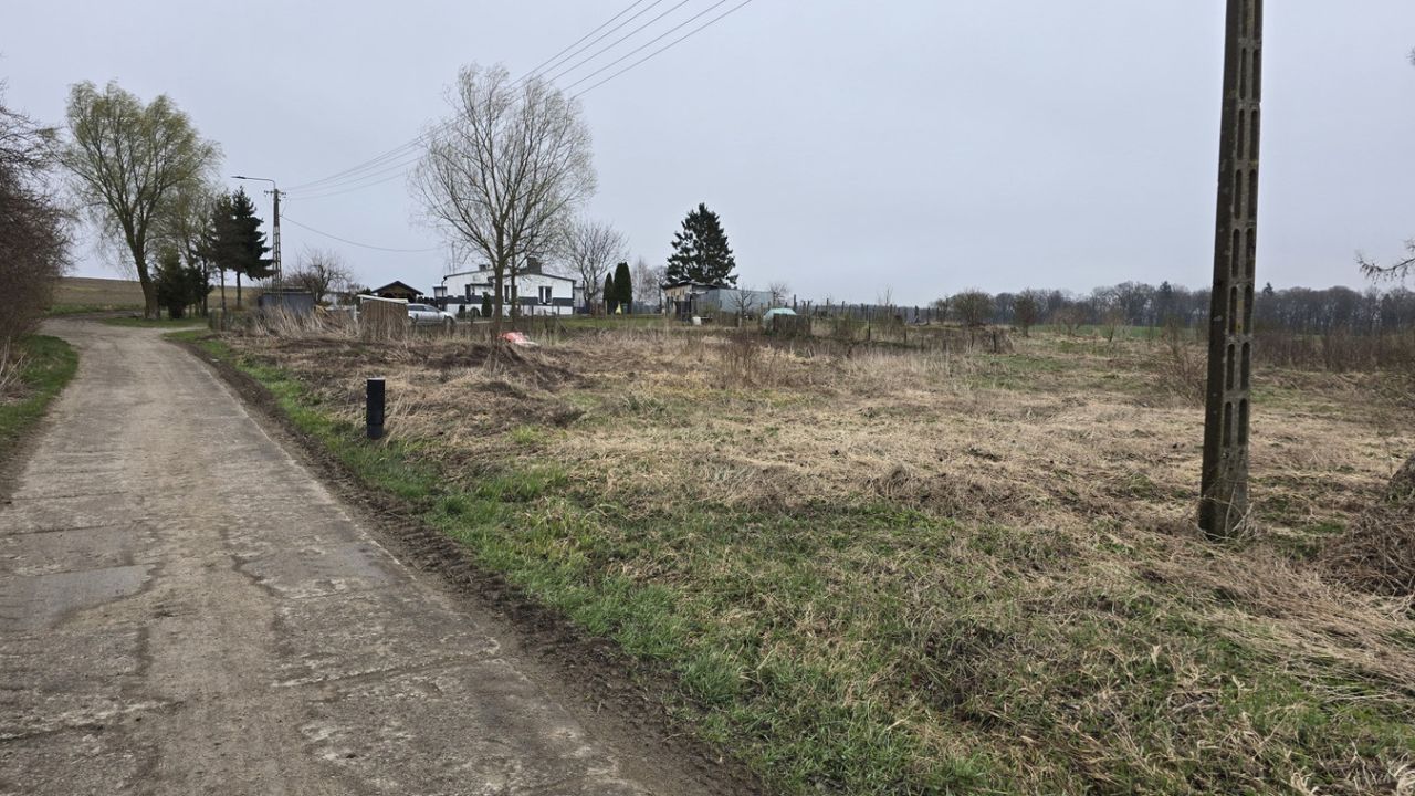 Działka rolna Cygusy. Zdjęcie 3