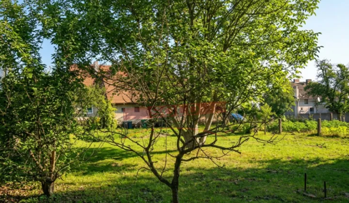 bliźniak, 4 pokoje Schodnia