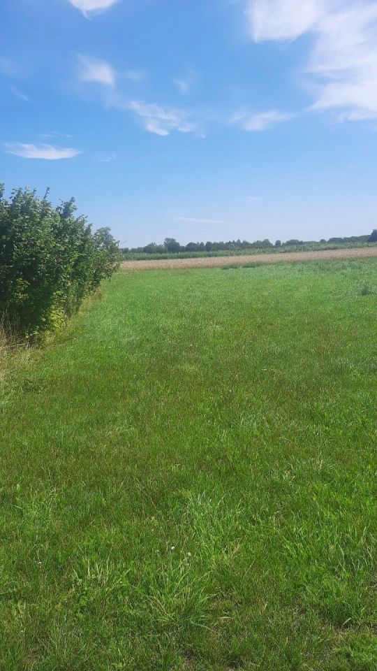 Działka rolna Bronisin Dworski, ul. Pogodna. Zdjęcie 9