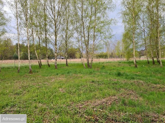Działka budowlana Pęgów. Zdjęcie 1