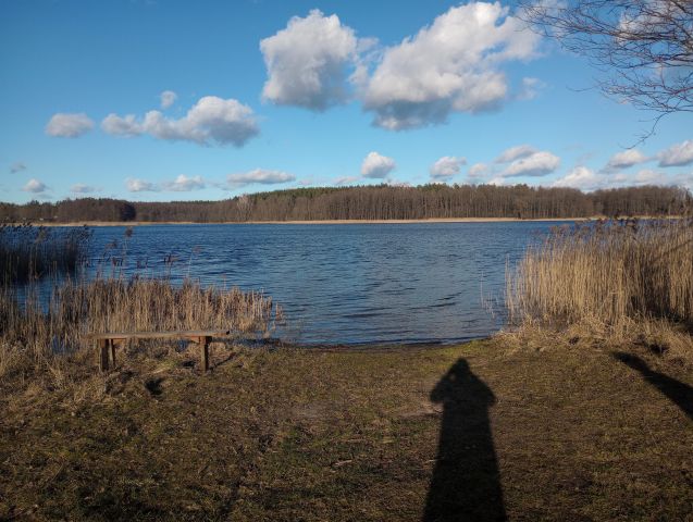 Działka rekreacyjna Grądy. Zdjęcie 1