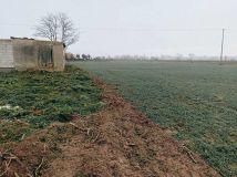 Działka rolno-budowlana Tryszczyn. Zdjęcie 4