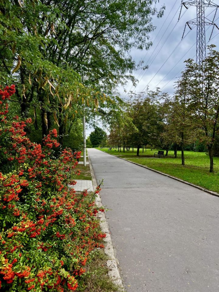 Mieszkanie 2-pokojowe Łódź Widzew, ul. Władysława Szafera. Zdjęcie 19