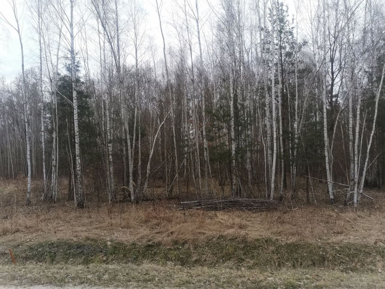 Działka budowlana Majków, ul. św. Anny. Zdjęcie 2