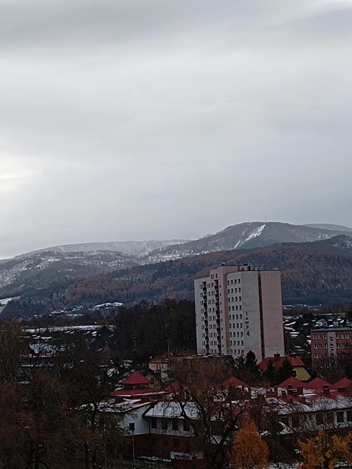 Mieszkanie 1-pokojowe Bielsko-Biała Aleksandrowice, ul. Spółdzielców. Zdjęcie 9