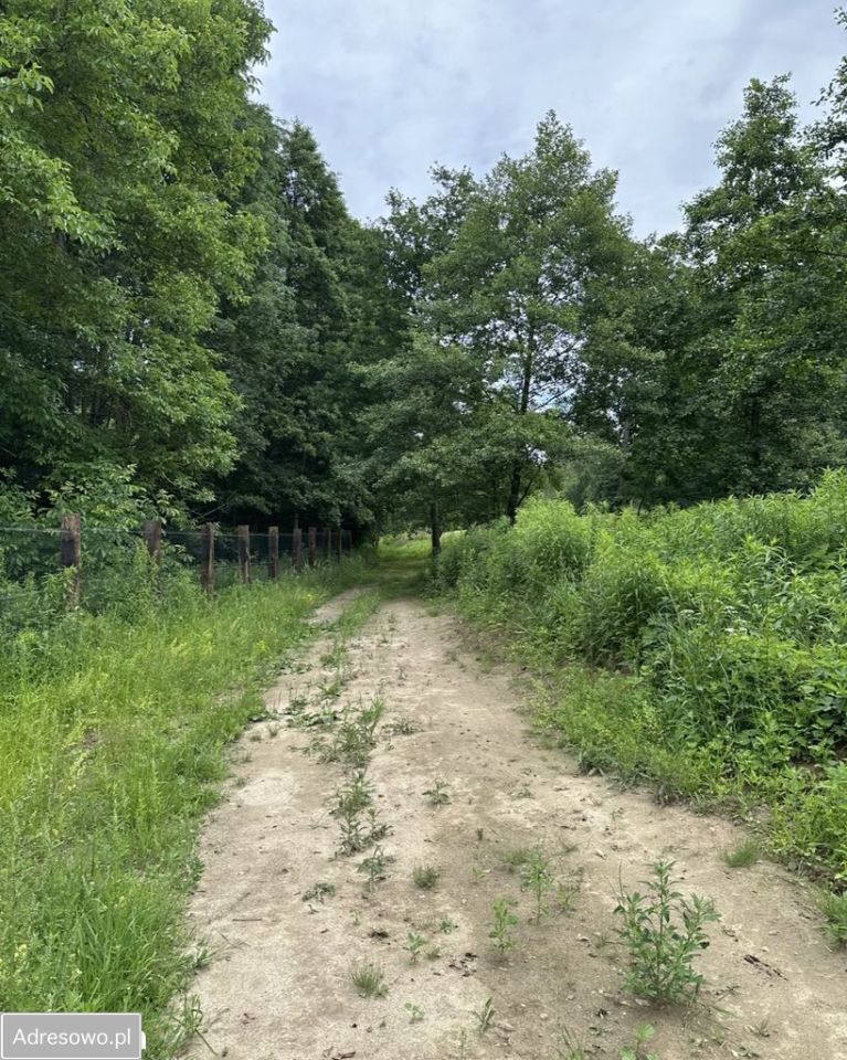 Działka budowlana Lubków. Zdjęcie 3