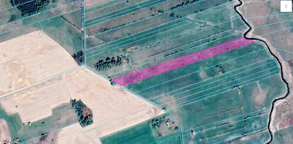 Działka rolno-budowlana Bogusze. Zdjęcie 7