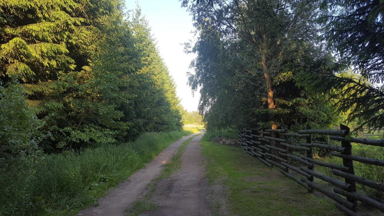 Działka rolno-budowlana Bednary. Zdjęcie 2