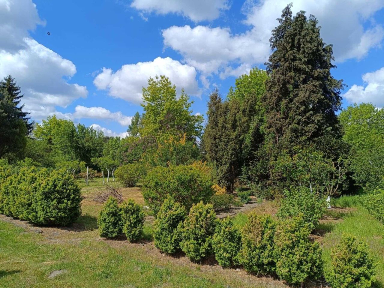 Działka rod Radom, ul. Uniwersytecka. Zdjęcie 6