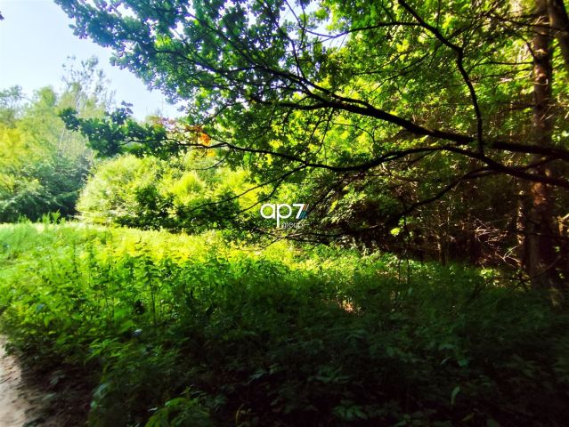 Działka rolna Będkowice. Zdjęcie 4