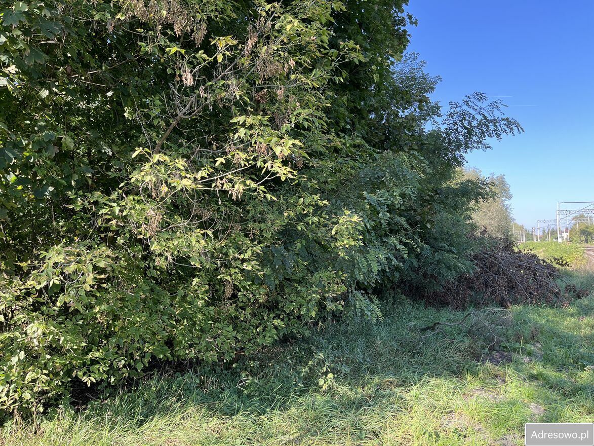 Działka rolna Trawniki-Kolonia. Zdjęcie 7